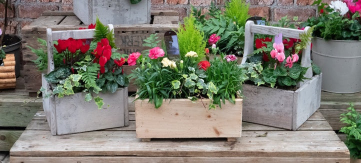 GARDENING ESSENTIALS